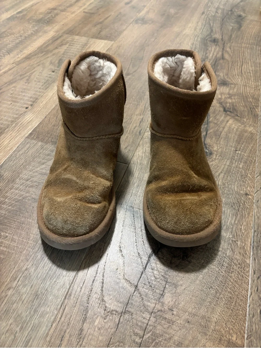 UGG Kids Classic Chestnut Suede Boot